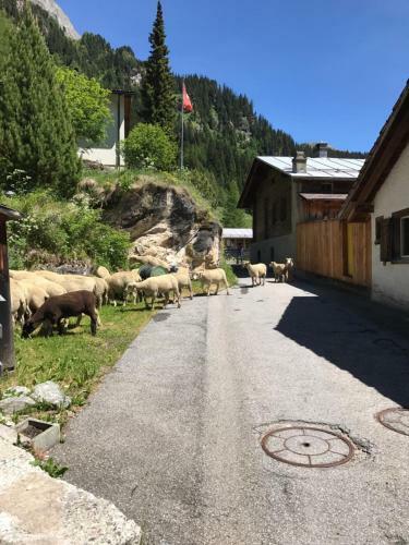Posada Gasthaus Alpenrose
