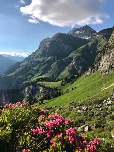Posada Gasthaus Alpenrose