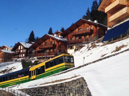 Apartment Chalet Bluemew�g