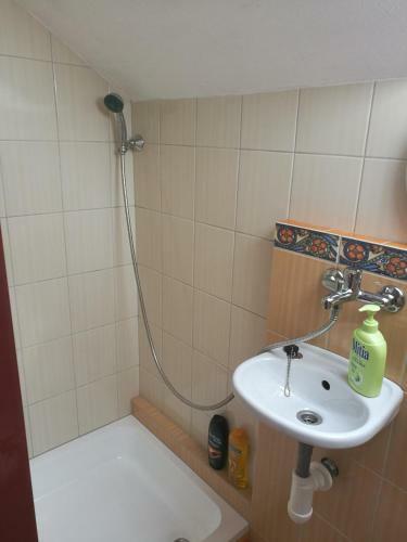 Apartman V Zahrade