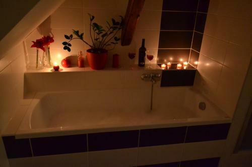 Apartm�ny Nezdice Na ?umav?