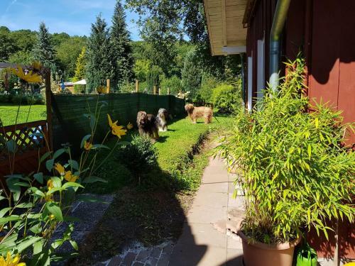 Cozy Holiday Home In Laisa With Private Terrace