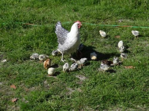 Agroturismo Hof Sonnengold