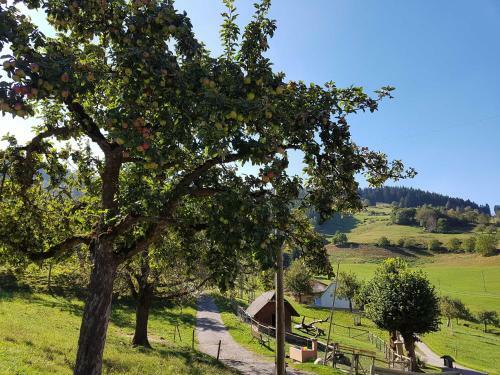 Agroturismo Maierhof
