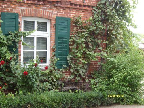 Apartamento Ferienwohnung Kornblume