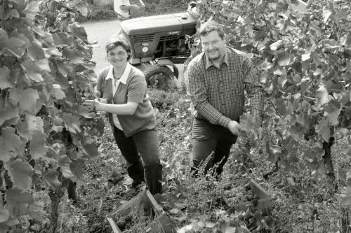 Hotel G�stehaus Wein Im Turm