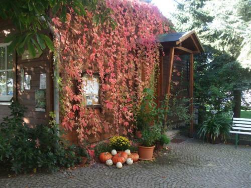 Hotel J�gerheim L�bsal