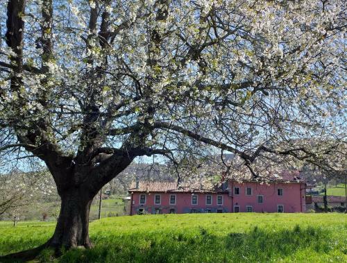 Albergue El Campo de Petra