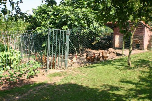 Agroturismo Fonte San Pedr�n