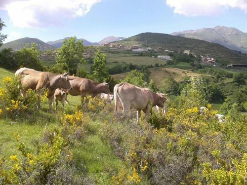 Apartamento Turismo Rural Castell