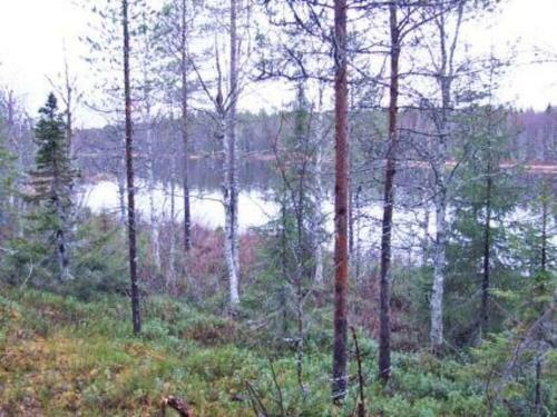 Holiday Home Villa M�ntyniemi