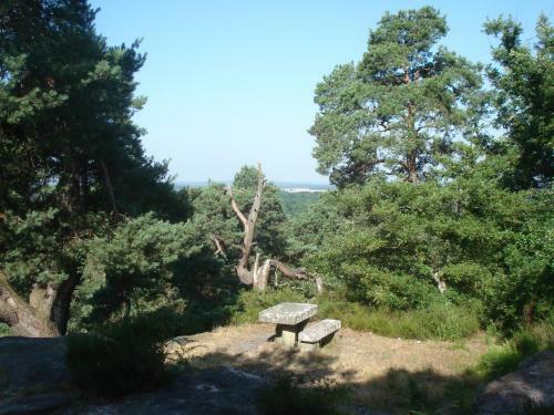 Bed & Breakfast Les Pr�mices de La For�t