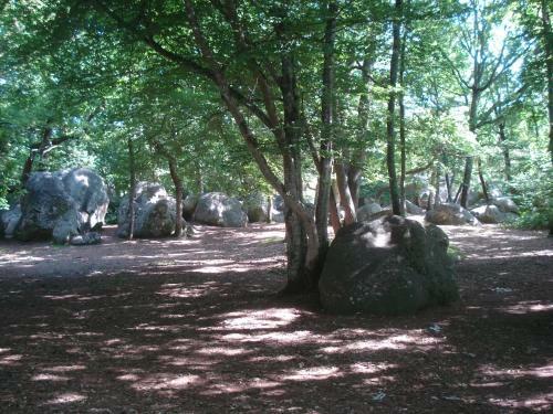 Bed & Breakfast Les Pr�mices de La For�t