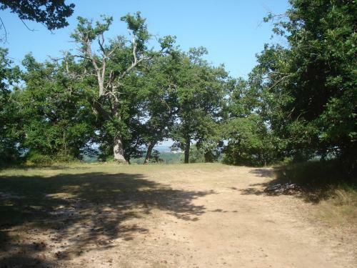 Bed & Breakfast Les Pr�mices de La For�t