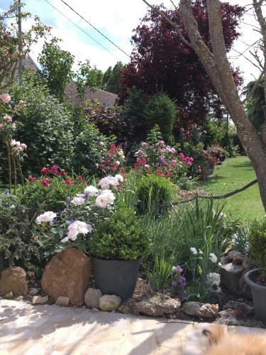 Bed & Breakfast Les Pr�mices de La For�t