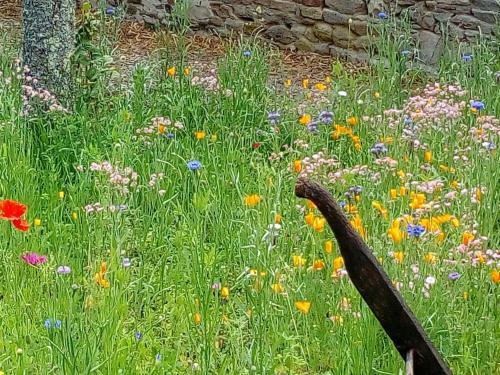 Bed & Breakfast Chambre D'h�tes Firon