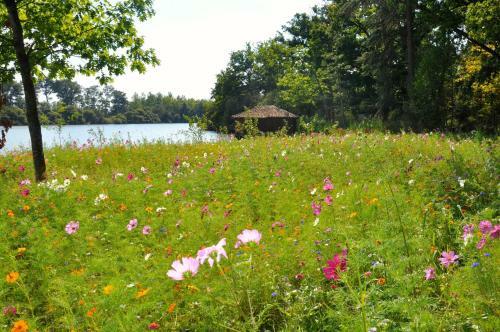 Bed & Breakfast Chambre D'h�tes La Maisonnette