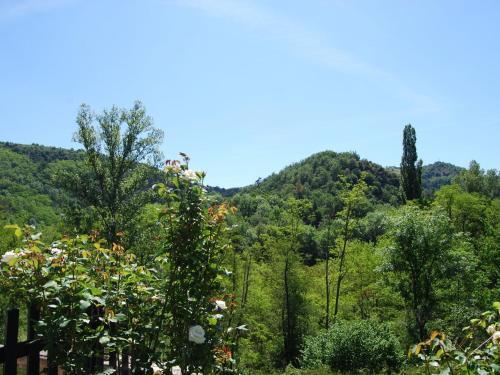 Charming Holiday Home In Etables With Swimming Pool