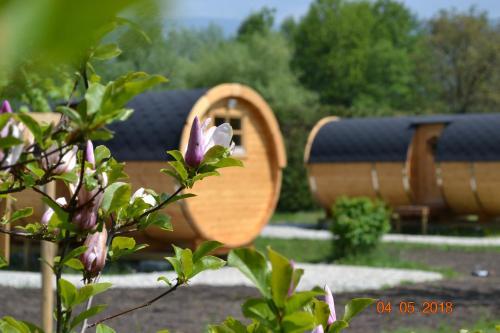 Bed & Breakfast Domaine Les Hirondelles