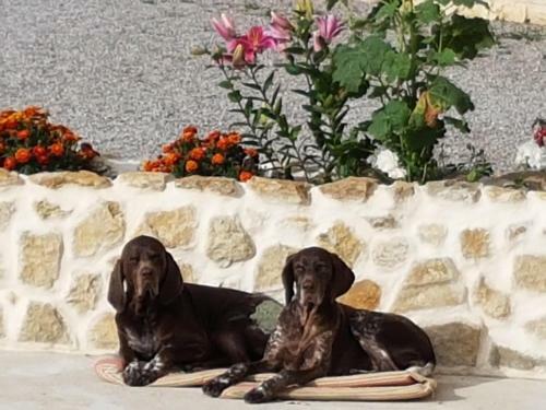 Bed & Breakfast Le Clos de Tournes