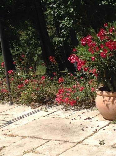 Bed & Breakfast Les D�lices de Lavo�te