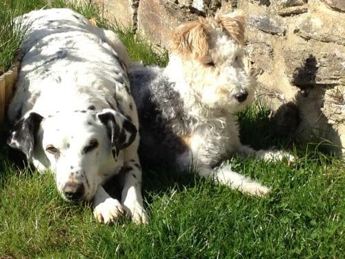 Bed & Breakfast La B�tisse Chambres D'h�tes