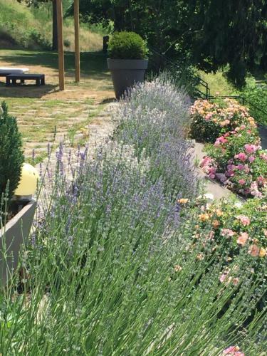 Bed & Breakfast La B�tisse Chambres D'h�tes