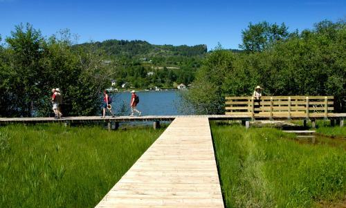 Camping Domaine Du Lac Chambon