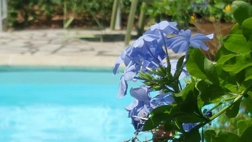 Bed & Breakfast Chambre D'h�tes La Vigneronne