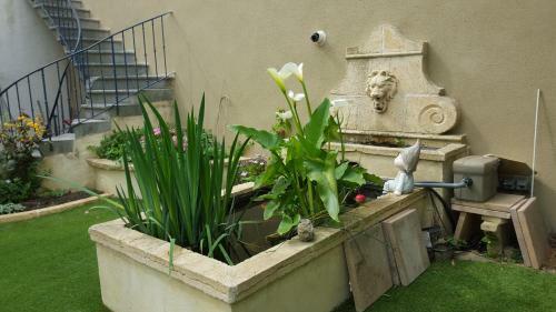 Bed & Breakfast Chambre D'h�tes La Vigneronne