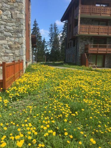Apartamentos Les 7 Laux Immobilier Services