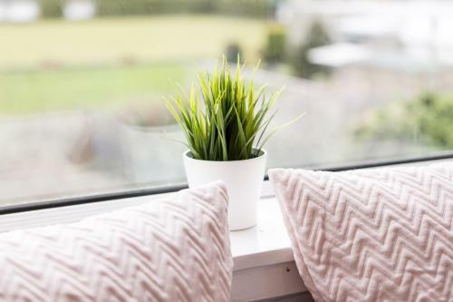 Lomond Serviced Apartments- Hydro House