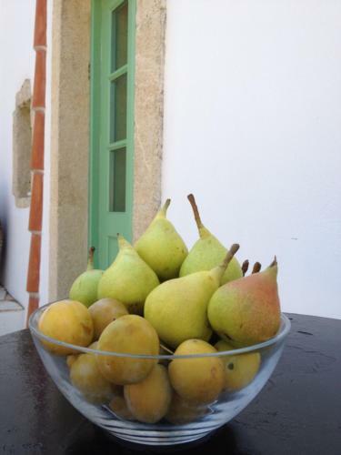 Hostal Villa Lemonia - Guest House