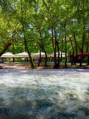 Hostal Dipla Sto Potami (Next To The River)