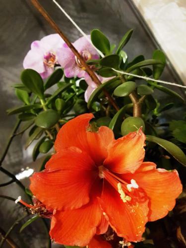 Bed & Breakfast Kincsesb�nya