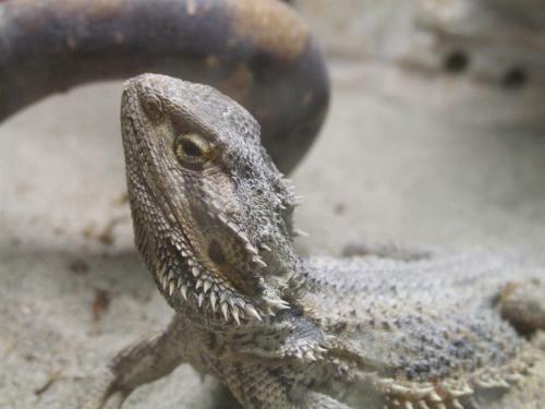 Bed & Breakfast Pollushof Panzi� �s �tterem