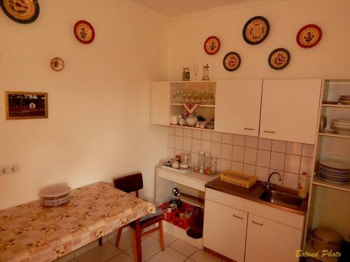 Hostal S�tor-hegy Vend�gh�z