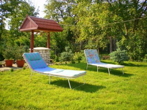 Hostal S�tor-hegy Vend�gh�z