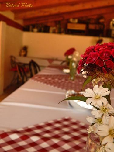Hostal S�tor-hegy Vend�gh�z