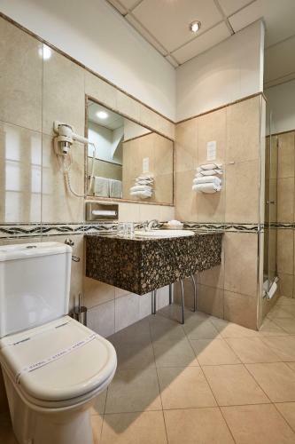 Hotel Szid�nia Manor House