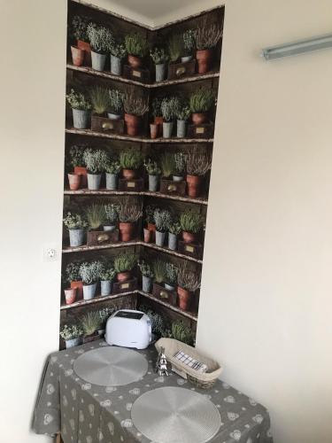 Apartamento Wanderer 1