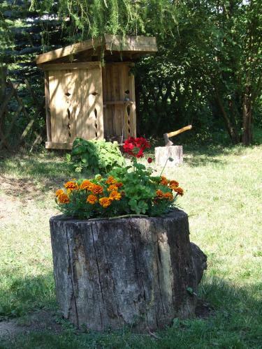 Hostal Erd�sz Vend�gh�z