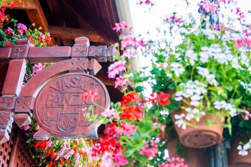 Bed & Breakfast Vask� Panzi� Borpince