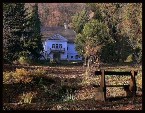 Bed & Breakfast Cseppk? Panzi�