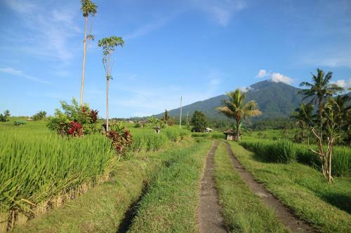 Sang Giri - Mountain Glamping Camp