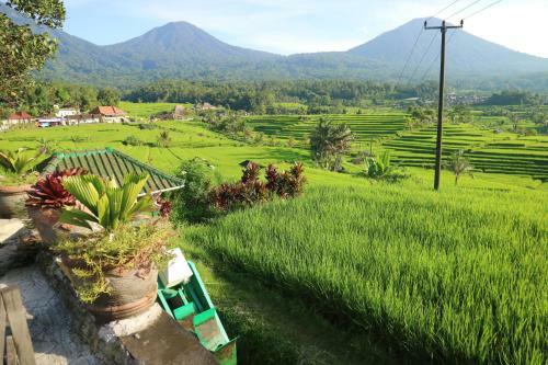 Sang Giri - Mountain Glamping Camp