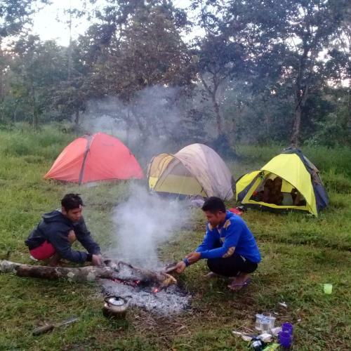 Tereng Wilis Jungle Inn