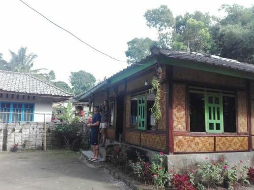 Tereng Wilis Jungle Inn