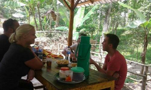 Tereng Wilis Jungle Inn