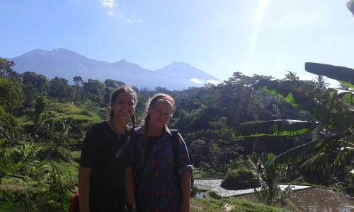 Tereng Wilis Jungle Inn